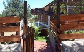 Los olivos